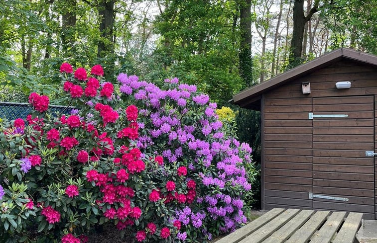 Natuurhuisje in Luyksgestel