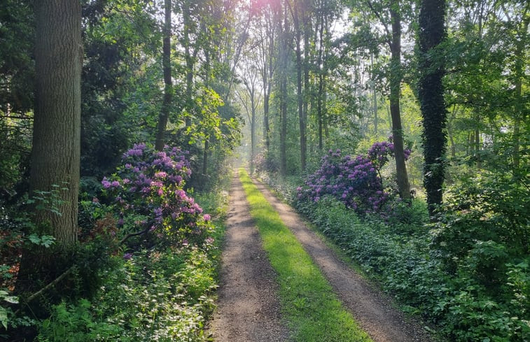 Natuurhuisje in Schalkhaar