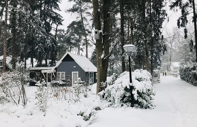 Natuurhuisje in Lochem