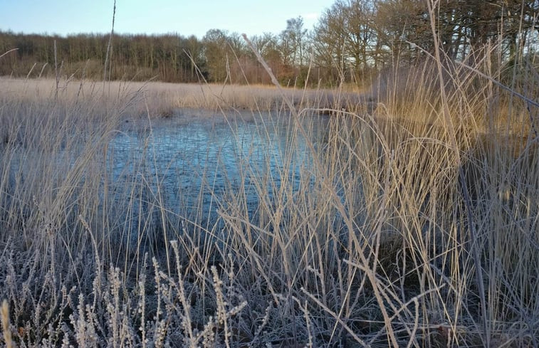 Natuurhuisje in Sint-Oedenrode