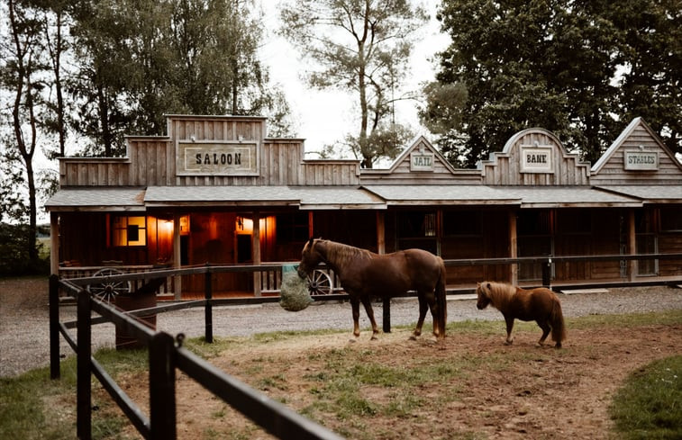 Natuurhuisje in Uddel