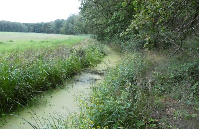 Natuurhuisje in Karstädt OT Laaslich