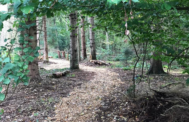 Natuurhuisje in Klarenbeek