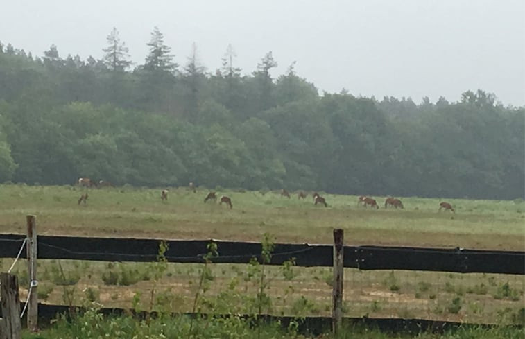 Natuurhuisje in Hoog Soeren