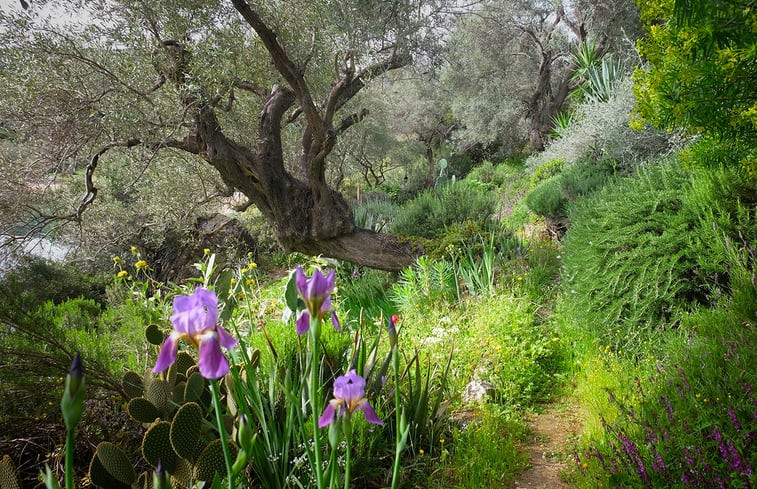 Natuurhuisje in Pelion