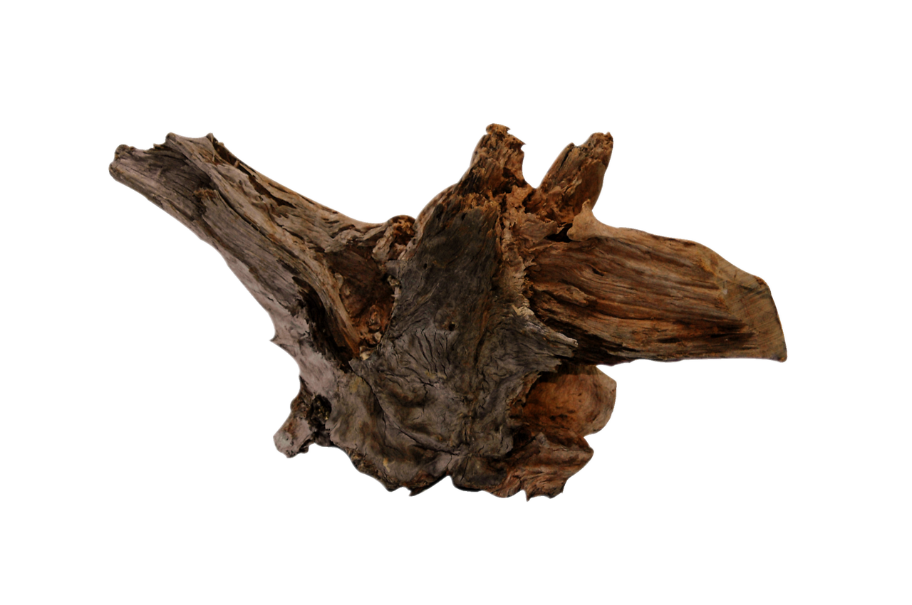 Superfish Driftwood XX-Large - Natuurlijk Hout voor Aquascaping, Ideaal Voor Middelgrote/Grote Aquariums