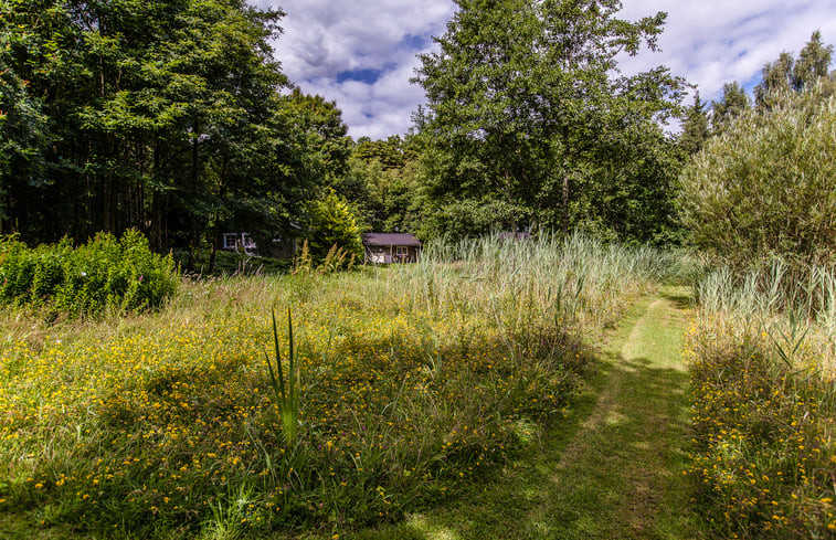 Natuurhuisje in Appelscha