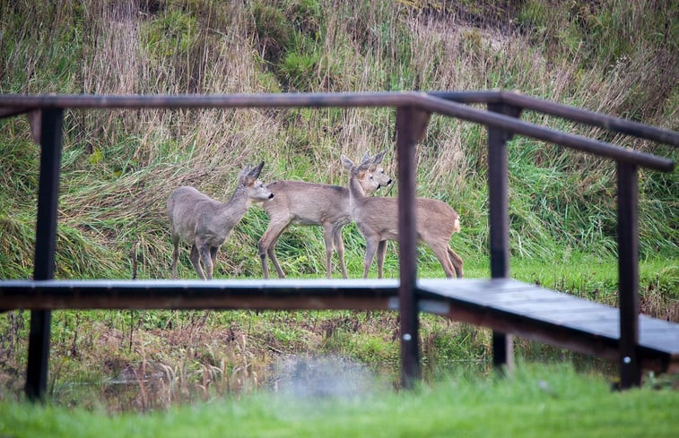 Natuurhuisje in Wiesel, Vaassen, Apeldoorn