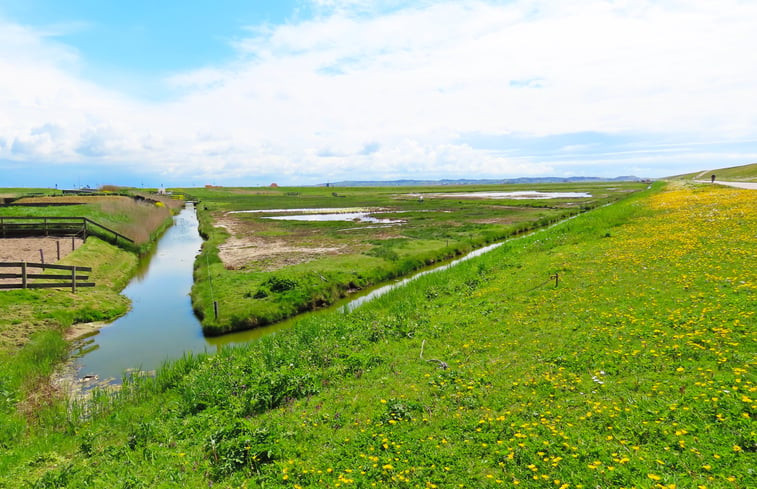 Natuurhuisje in Petten