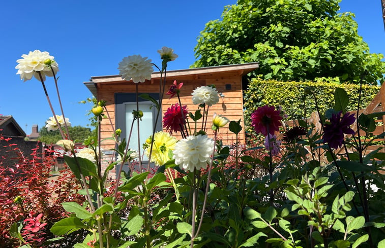 Natuurhuisje in Banholt