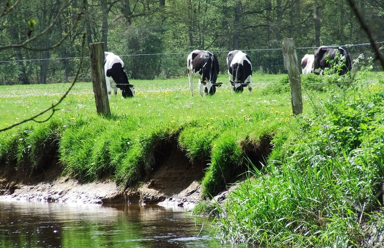 Natuurhuisje in de Lutte