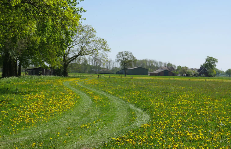 Natuurhuisje in Okkenbroek