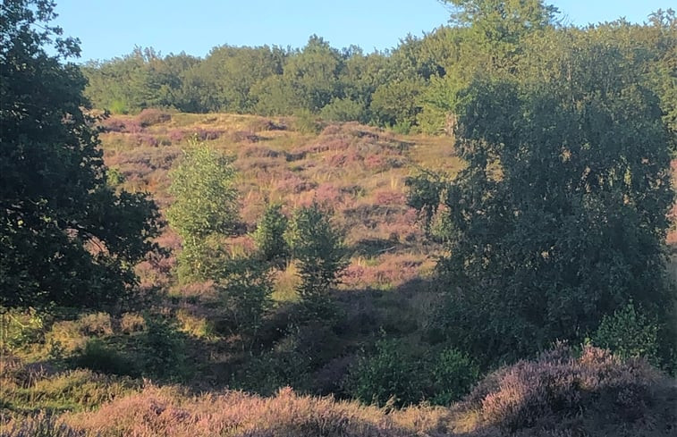 Natuurhuisje in Mook