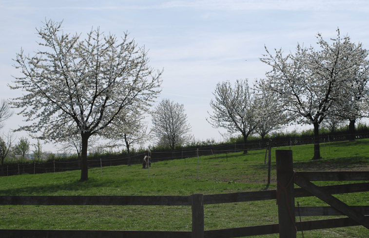 Natuurhuisje in Mechelen