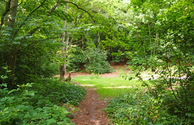 Natuurhuisje in Schoorl