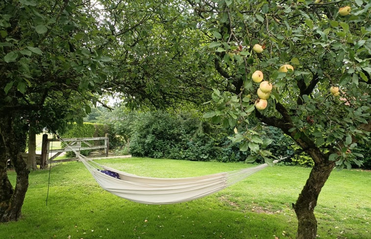 Natuurhuisje in Putten