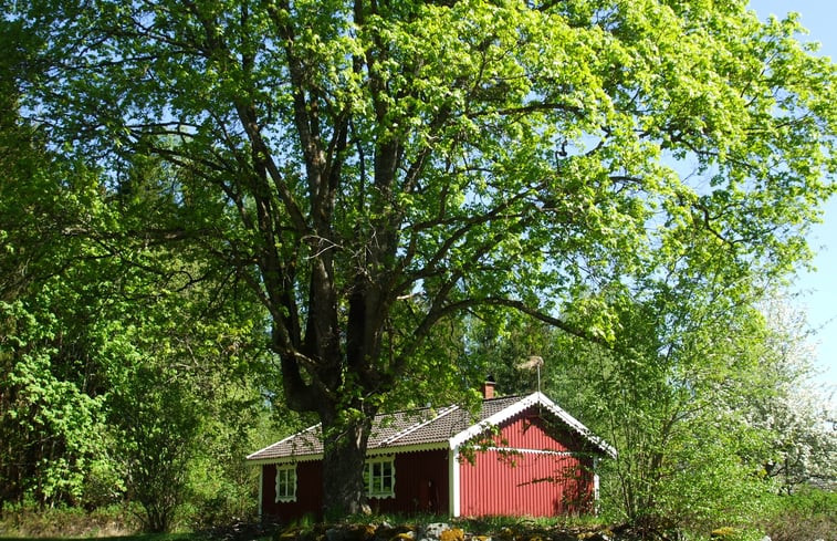 Natuurhuisje in Urshult