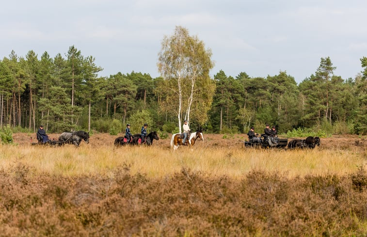 Natuurhuisje in Hapert