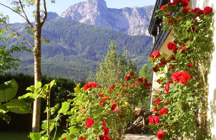 Natuurhuisje in Abtenau