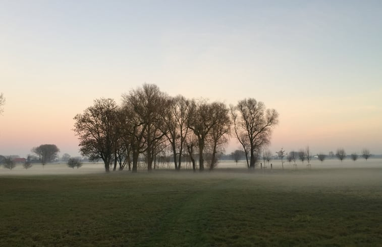 Natuurhuisje in Brummen