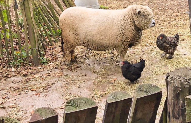 Natuurhuisje in Weesp