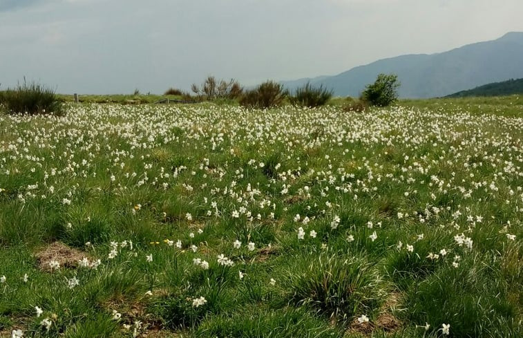 Natuurhuisje in Pontremoli