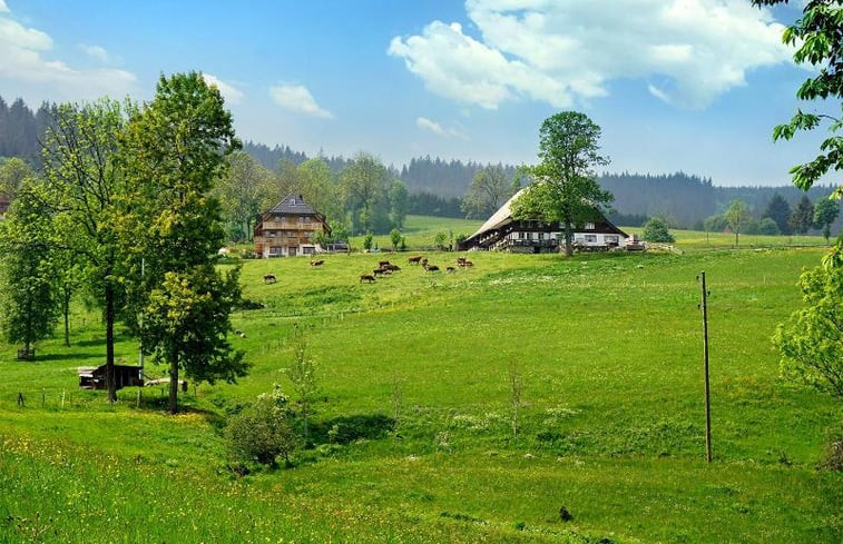 Natuurhuisje in Hinterzarten