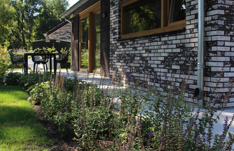 Natuurhuisje in IJhorst