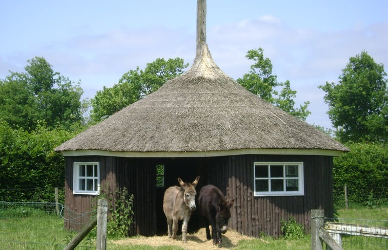 Natuurhuisje in Vorden