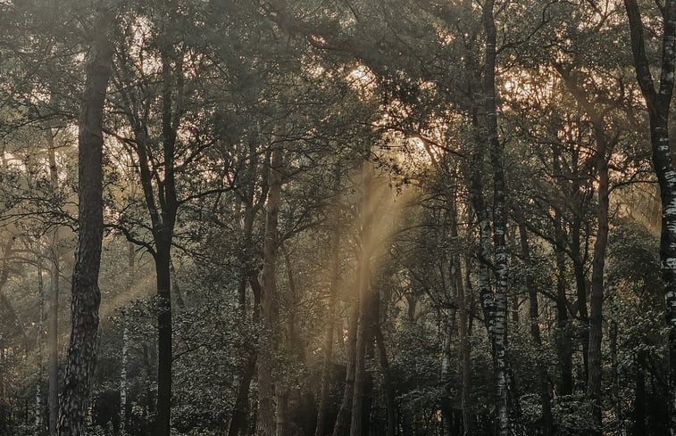 Natuurhuisje in Haarle