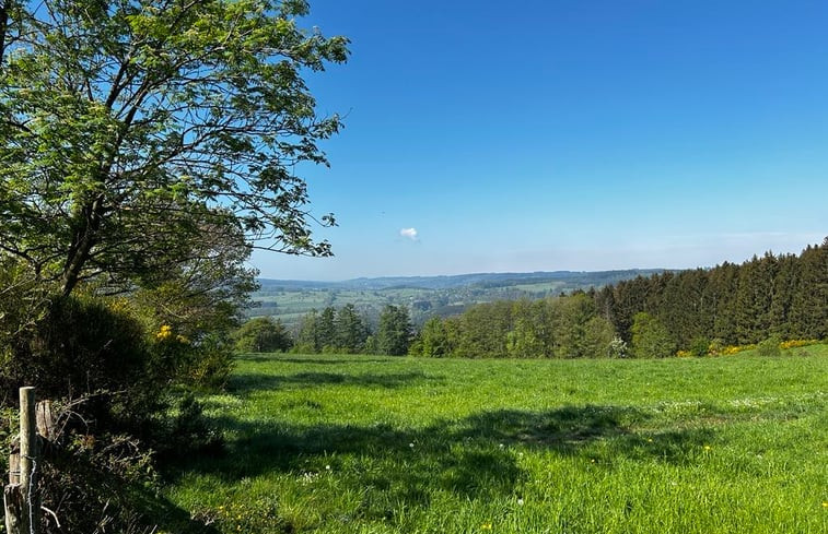 Natuurhuisje in Lierneux