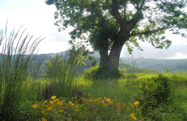 Natuurhuisje in Santa Fiora