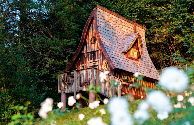 Natuurhuisje in Annweiler am Trifels