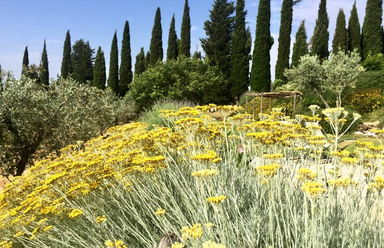 Natuurhuisje in Loro Ciuffenna