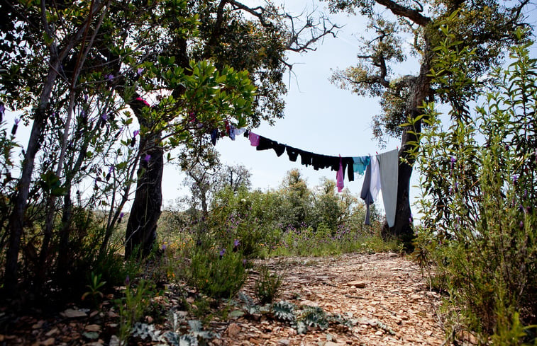 Natuurhuisje in São Luis