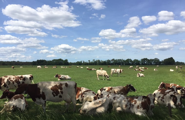 Natuurhuisje in Bronnegerveen