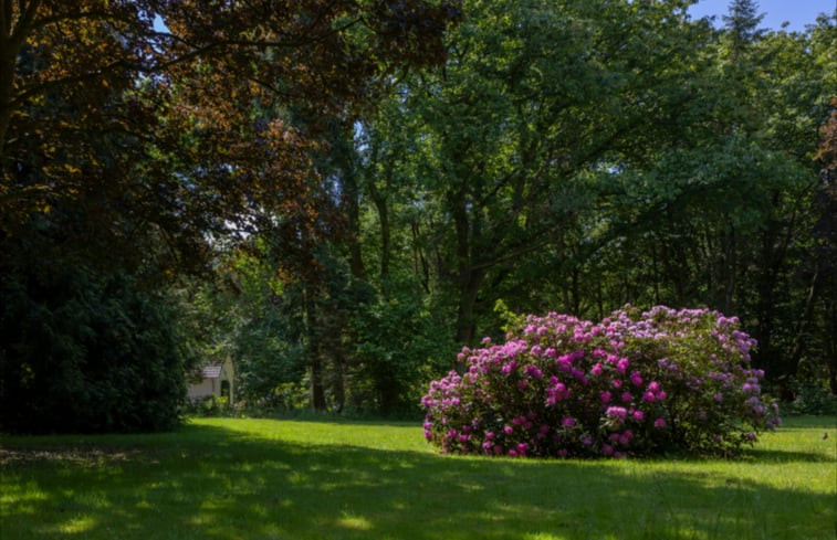 Natuurhuisje in Vierhouten