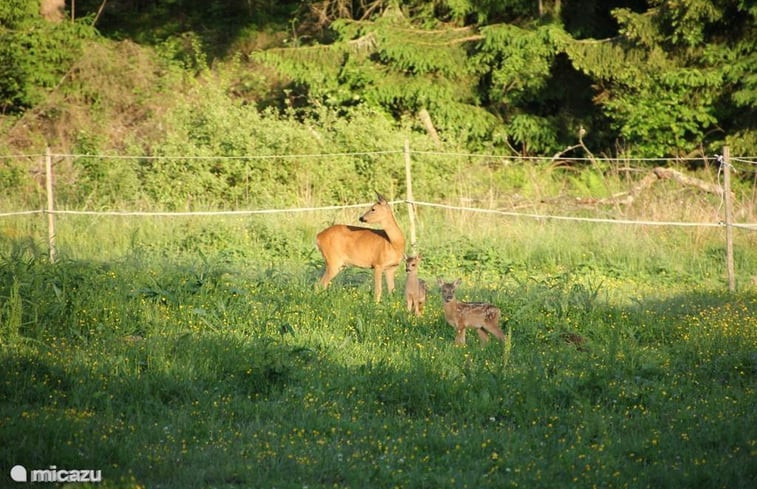 Natuurhuisje in Torestorp