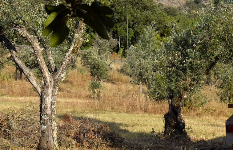 Natuurhuisje in Castelo de Vide