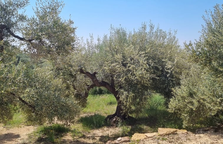 Natuurhuisje in el perello