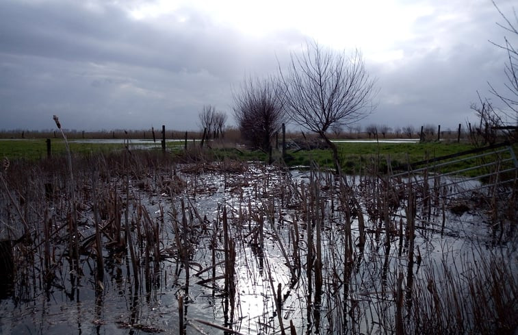 Natuurhuisje in Middelkerke