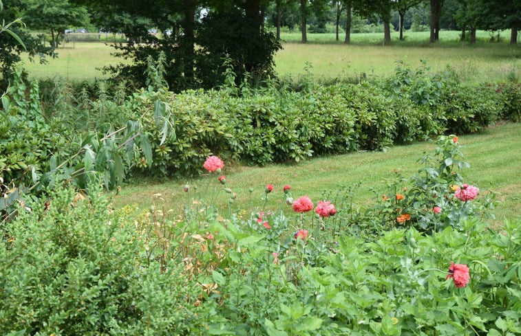 Natuurhuisje in Onstwedde