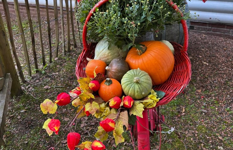 Natuurhuisje in Winterswijk