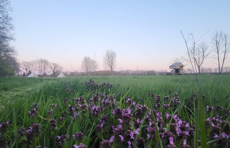 Natuurhuisje in Siegerswoude