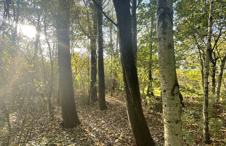 Natuurhuisje in De Tike