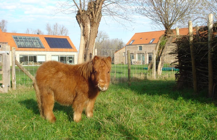 Natuurhuisje in Zerkegem