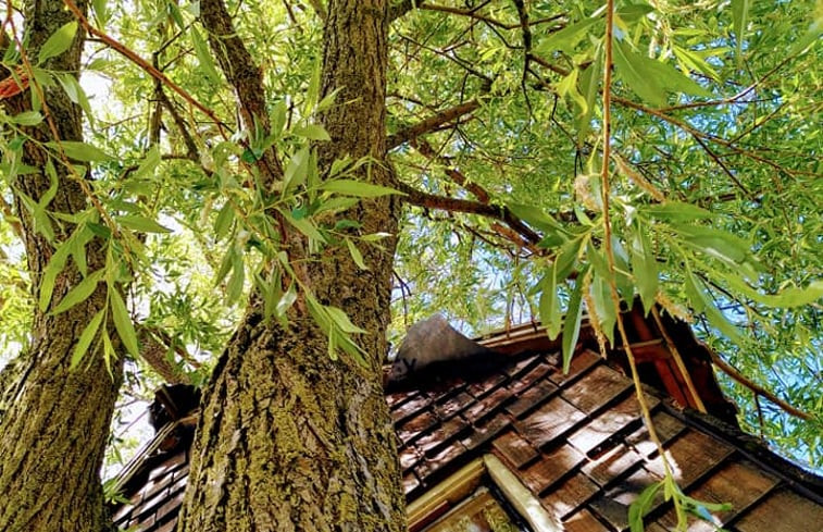 Natuurhuisje in Roodeschool