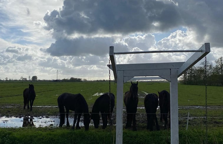 Natuurhuisje in Lytse Geast