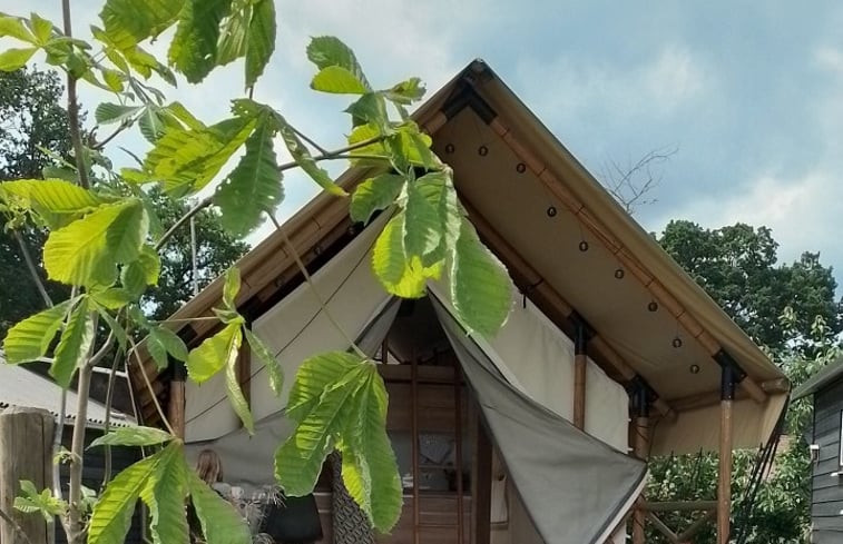 Natuurhuisje in Garderen