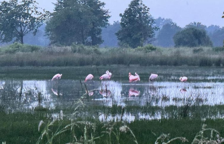 Natuurhuisje in Eibergen